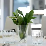 Floating Sea House Shark 3 Lejlighed