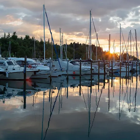 Floating Sea House Shark 3