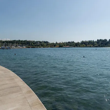 Floating Sea House Shark 3 *