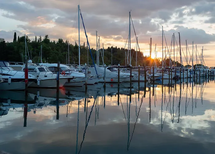 Floating Sea House Shark 3