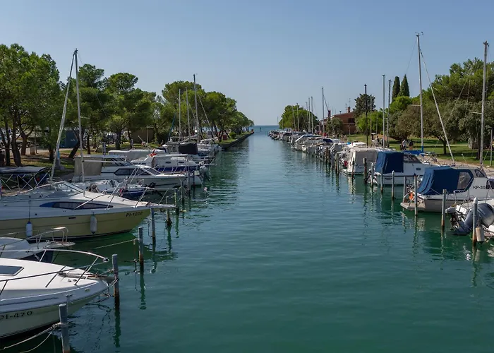 Floating Sea House Shark 3