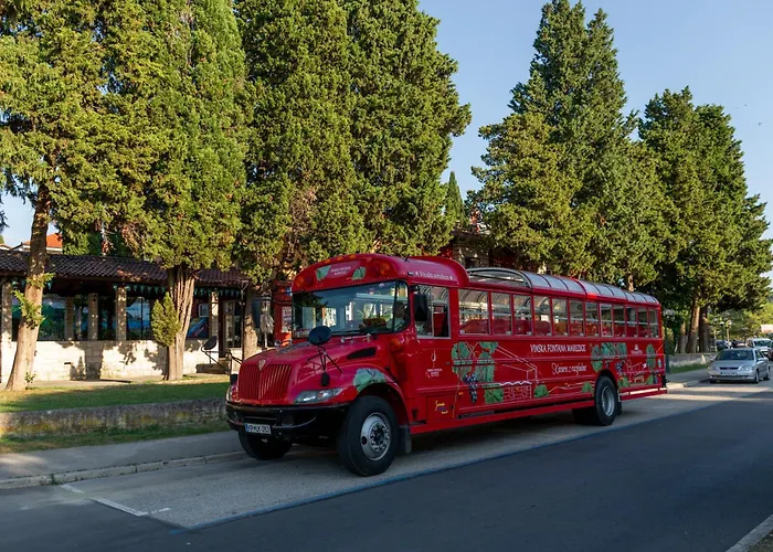 Daire Floating Sea House Shark 3